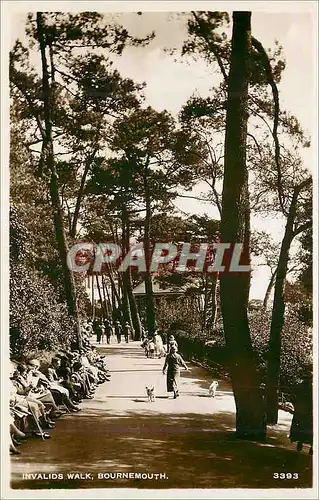 Cartes postales moderne Invalid walk Bournemouth