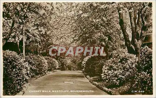 Moderne Karte Cherry Walk Westcliff Bournemouth