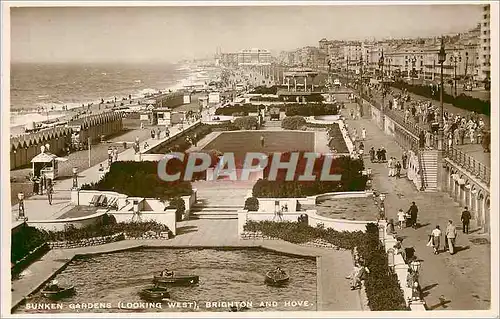 Cartes postales moderne Sunken Gardens Looking West Brighton and Hove