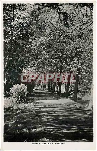 Cartes postales moderne Sophia Gardens Cardiff