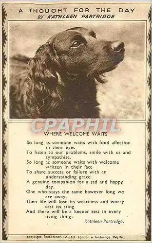 Cartes postales moderne A thought for the day by Kathleen Partridge Where welcome waits Chien