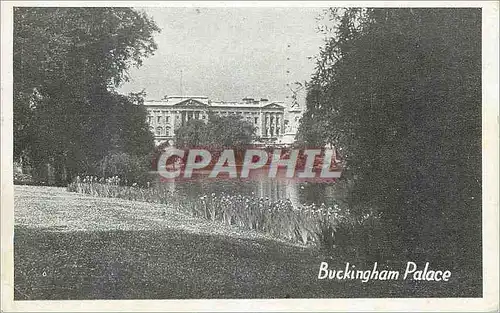 Cartes postales moderne Buckingham Palace