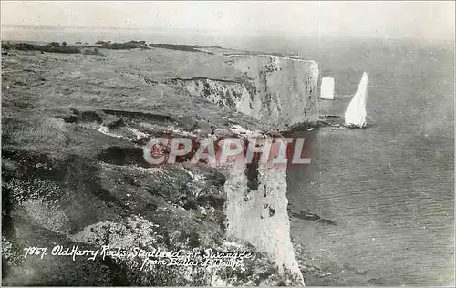 Moderne Karte Old Harry Rocks