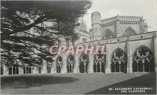 Cartes postales moderne Salisbury Cathedral The Cloisters
