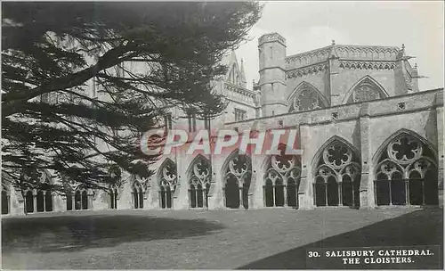 Moderne Karte Salisbury Cathedral The Cloisters