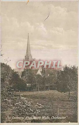 Cartes postales moderne The Cathedral from North West Chichester