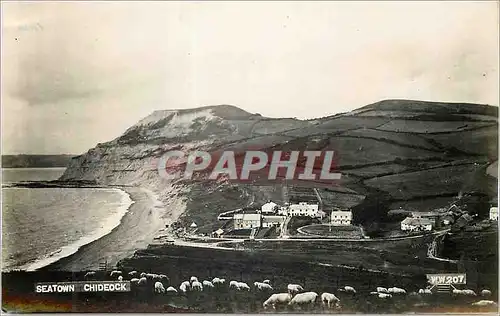 Cartes postales moderne Seatown Chideock