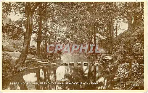 Cartes postales moderne Stepping Stones Jesmond Dene Newcastle on Tyne