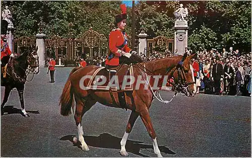 Moderne Karte HM The Queen at Trooping The Colour Ceremony London