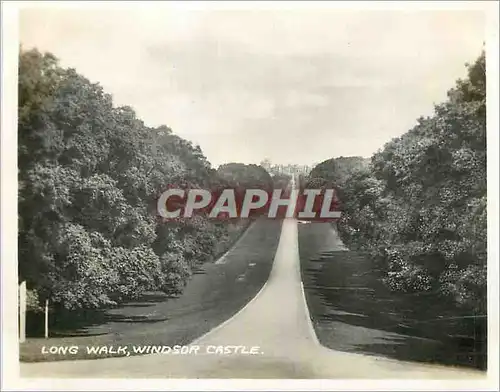 Cartes postales moderne Long Walk Windsor Castle