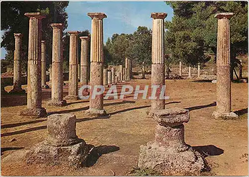 Cartes postales moderne Ancienne Olylpie la Palestre
