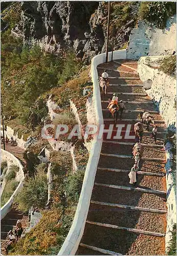 Cartes postales moderne Thira la Rue de Fira