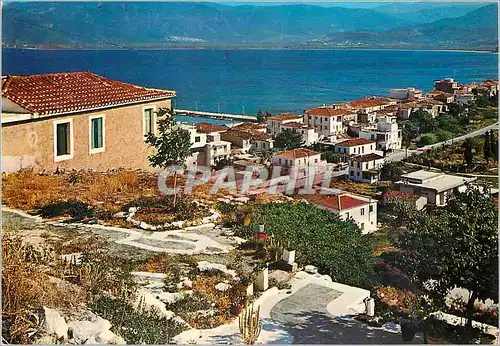 Cartes postales moderne Paralia Astros Vue Partielle