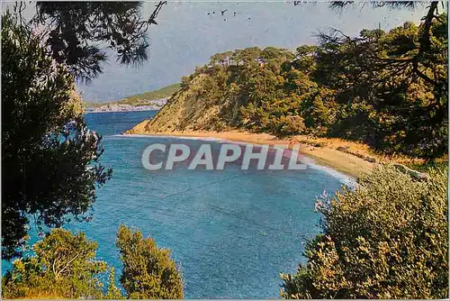 Cartes postales moderne Samos la Jolie Plage de Tsamadou