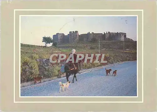 Cartes postales moderne Grece Griechenland