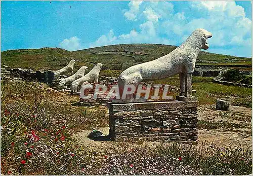 Cartes postales moderne Delos La Terrasse des Lions