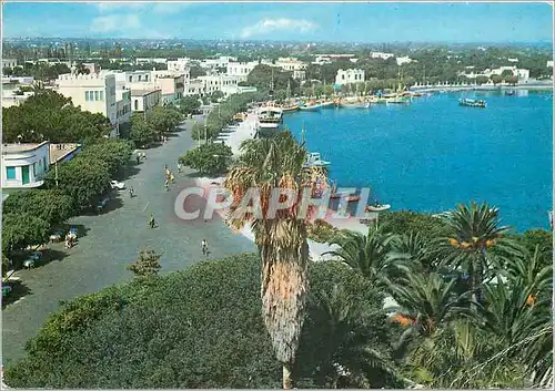 Cartes postales moderne Ile de Cos Vue Partielle de la Ville et du Port Cote Koundourioli