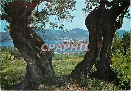 Moderne Karte Poros Vue Partielle