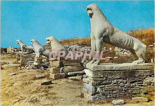 Cartes postales moderne Delos la Terrasse des Lions