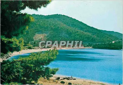 Cartes postales moderne Skopelos Panormos la Plage Pittoresque