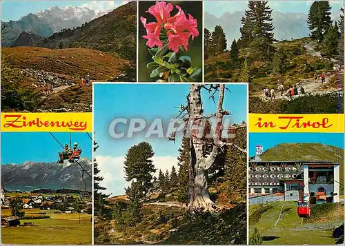 Cartes postales moderne Zirbenweg Von der Bergstation der Glungezerbahn 2100m
