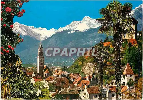 Cartes postales moderne Kurstadt Meran 312m Gegen Texelgruppe