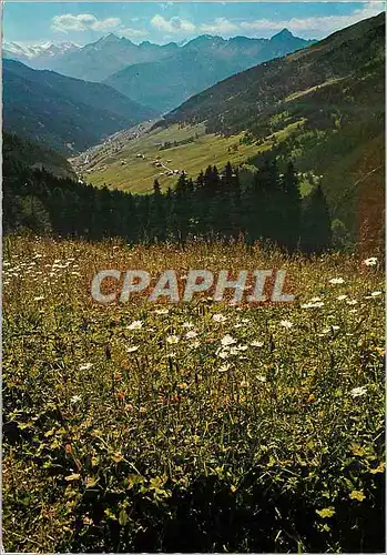 Cartes postales moderne Navistal Tirol Stubaier Gletscher Habicht Series