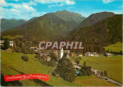 Cartes postales moderne Wald Gegen Die Sulzbachtaler Land Salzburg