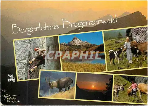 Cartes postales moderne Bergerlebnis Bregenzerwald Osterreich