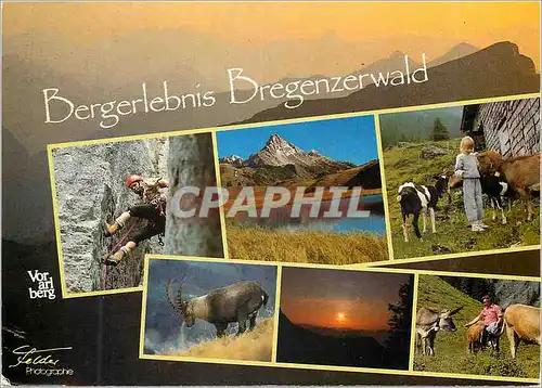 Moderne Karte Bergerlebnis Bregenzerwald Osterreich