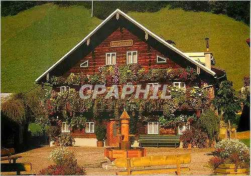 Cartes postales moderne Blumenhaus in Dienten am Hochkonig Land Salzburg