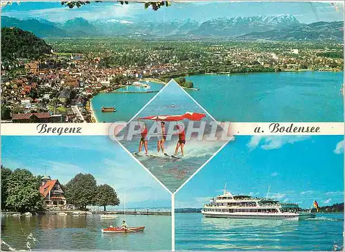 Cartes postales moderne Bregenz am Bodensee