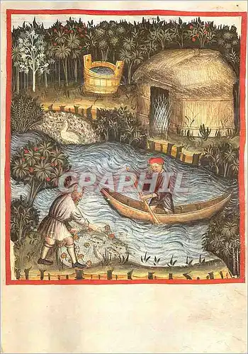 Cartes postales moderne La Peche Tacuinum Sanitatis Lombardy Lombardie XIVe