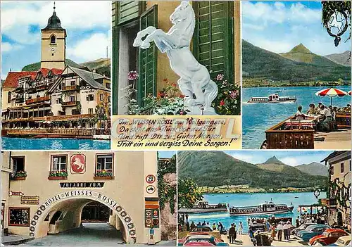 Cartes postales moderne St Wolfgang am See Salzkammergut Cheval blanc