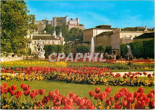 Cartes postales moderne Festspielstadt Salzburg La ville du Festival Salzburg La Jardin Mirabell La Cathedrale et La For
