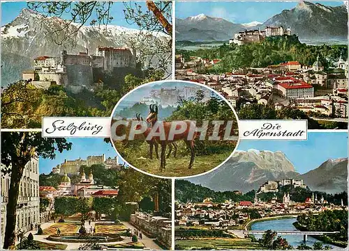 Cartes postales Salzburg Die algenstadt