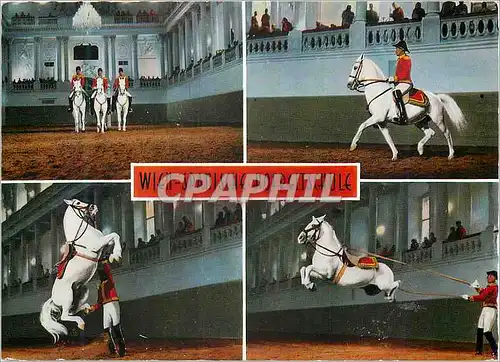Cartes postales moderne Wien Spanische Hofreitschule Cheval Hippisme
