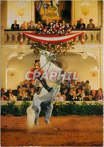 Moderne Karte Vienne Ecole d'Equitation Espagnole Cheval Hippisme