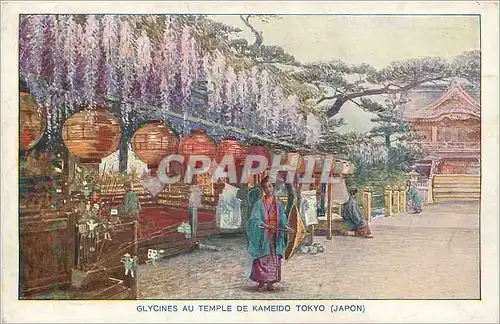 Moderne Karte Glycines au Temple de Kameido Tokyo (Japon)