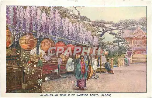 Cartes postales moderne Glycines au Temple de Kameido Tokyo (Japon)