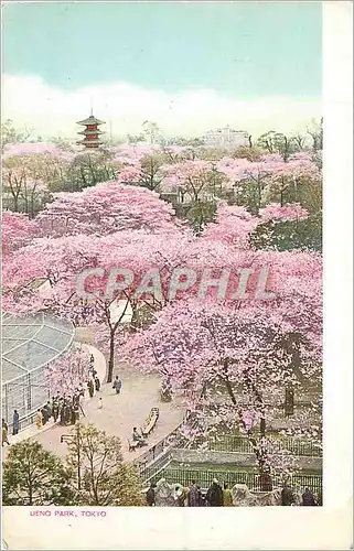 Cartes postales moderne Ueno Park Tokyo