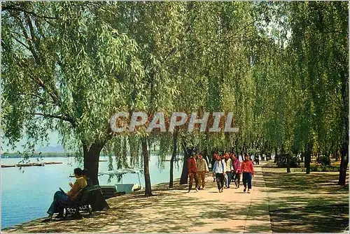 Moderne Karte Le Lac de L'Ouest Le Parc des Loriots Gazouiilant Parmi les Saules