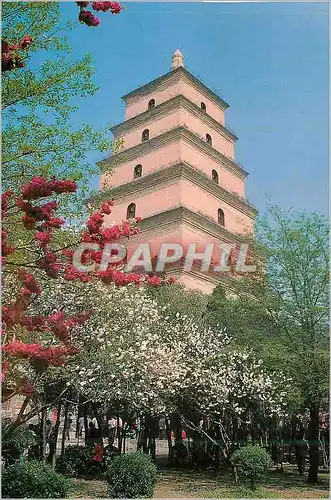 Moderne Karte Spring of The Big Wild Goose Pagoda
