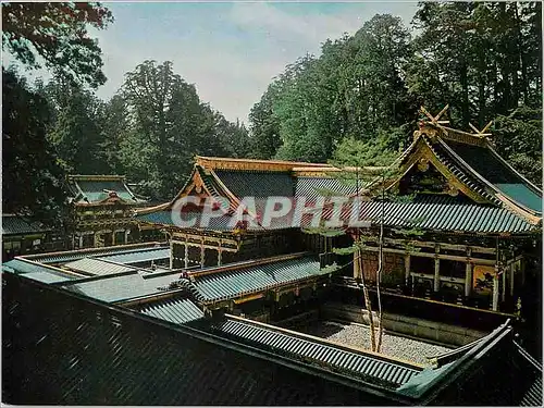 Cartes postales moderne Structure of Main Shrine The Most Beautiful Japanese Cedar Style Structure