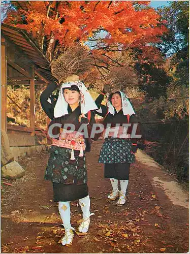 Cartes postales moderne Oharame Femmes Japon