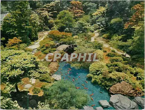 Cartes postales moderne Jardin Japon