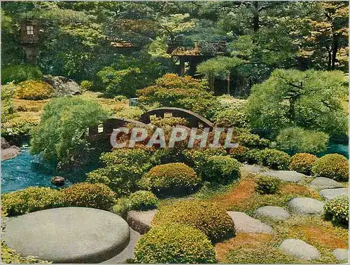 Cartes postales moderne Jardin Japon