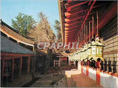 Cartes postales moderne Kasuga Shrine Nara