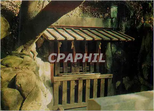 Cartes postales moderne In This Cave A Prince Morinaga Who was the Third Son O Emperor Godaigo was Killed by takauji ASh