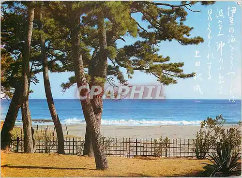 Cartes postales moderne View of Imaihama Seashore Where Beautiful waves are Lapping